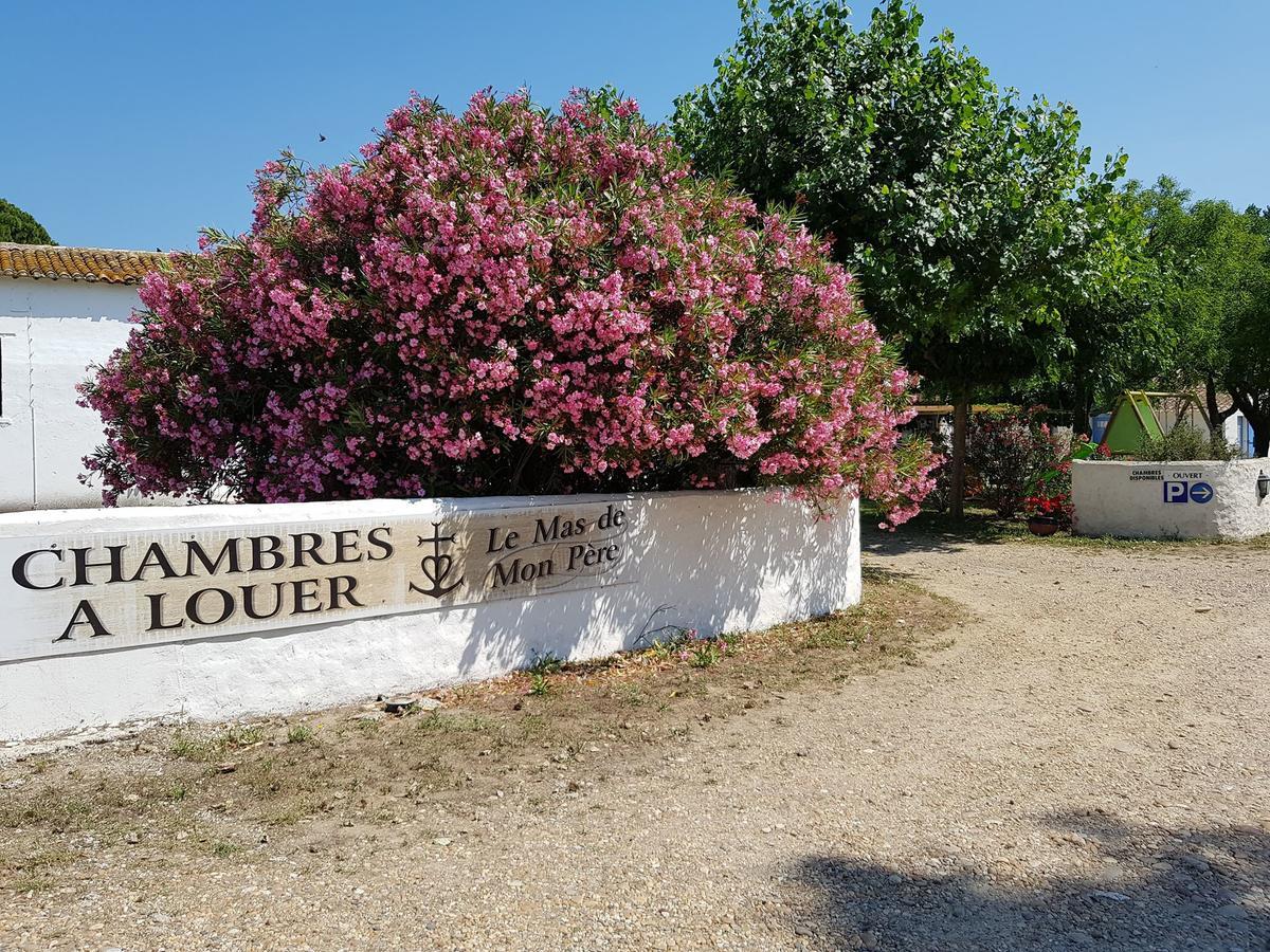 Le Mas De Mon Pere Saintes-Maries-de-la-Mer Exterior foto